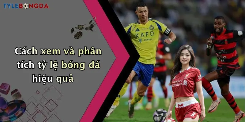 Cách xem và phân tích tỷ lệ bóng đá hiệu quả