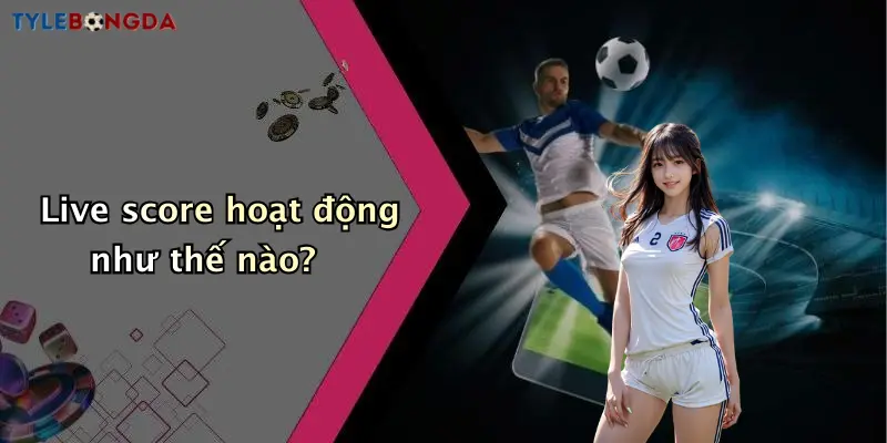 Live score hoạt động như thế nào?
