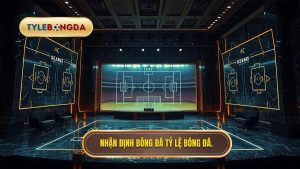 Nhận định bóng đá hôm nay