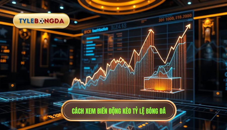 Cách xem biến động kèo bóng đá: Bí quyết soi kèo "bất bại" cho người mới